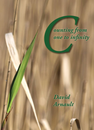 David Arnault's  Counting from one to infinity
