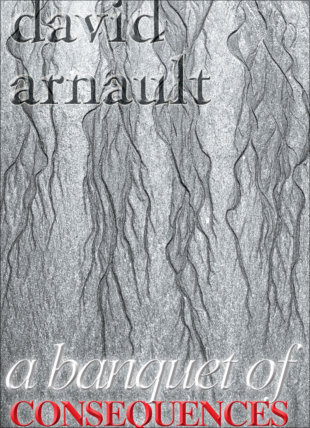 David Arnault's A Banquet of Consequences